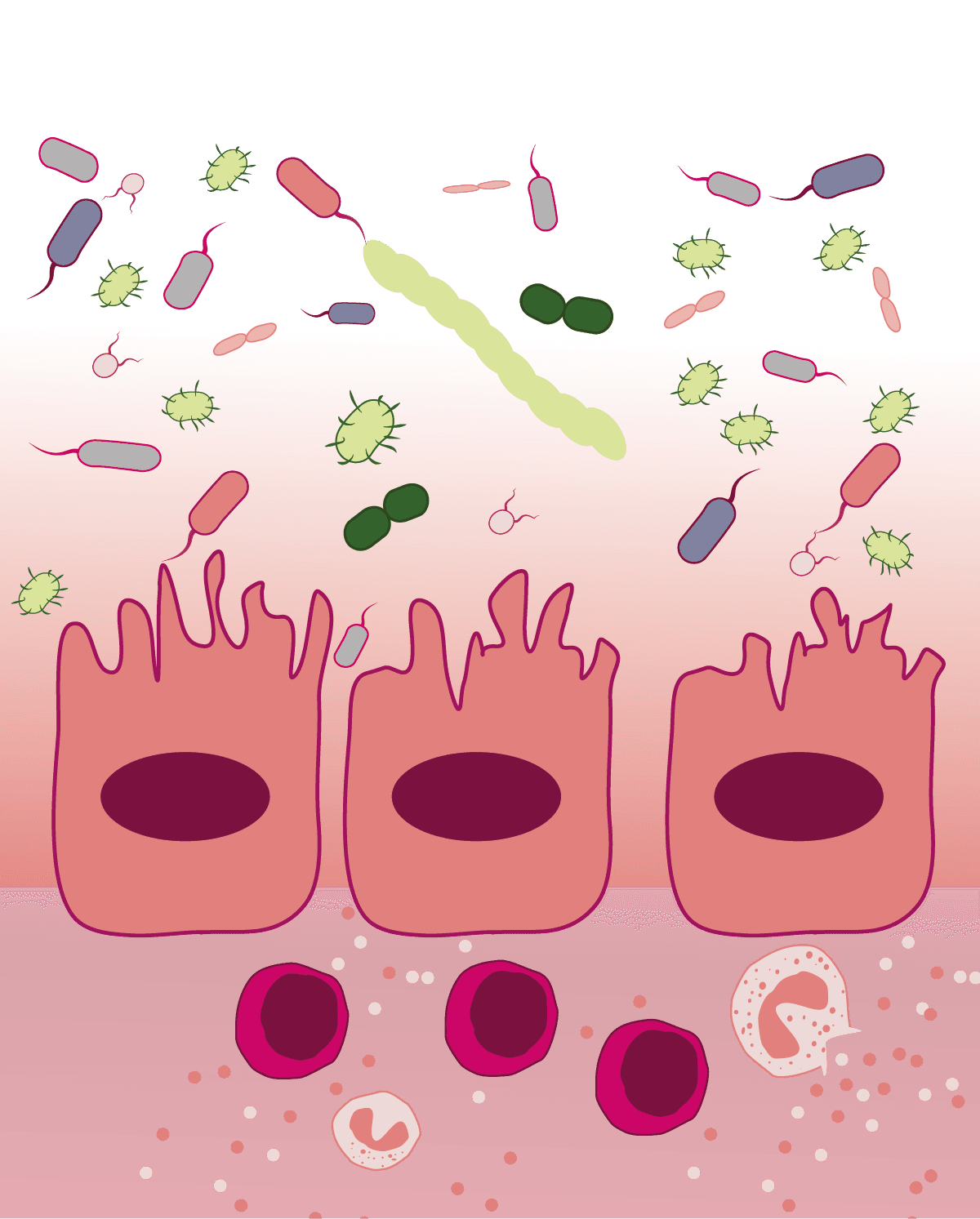 /leakygut.png